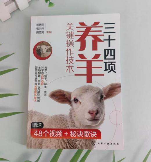 三十四项养羊关键操作技术 商品图3