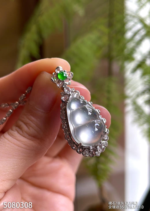 5080308，福豆吊坠。具体价格微信咨询 商品图1