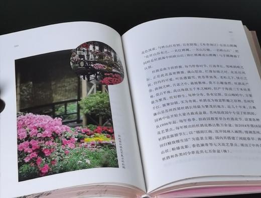 签名钤印本：《园林花笺》，精装32开，柯继承、柯怡雯著，古吴轩出版社2020年一版，2025年4印，432页，定价88，售价88元。 商品图13