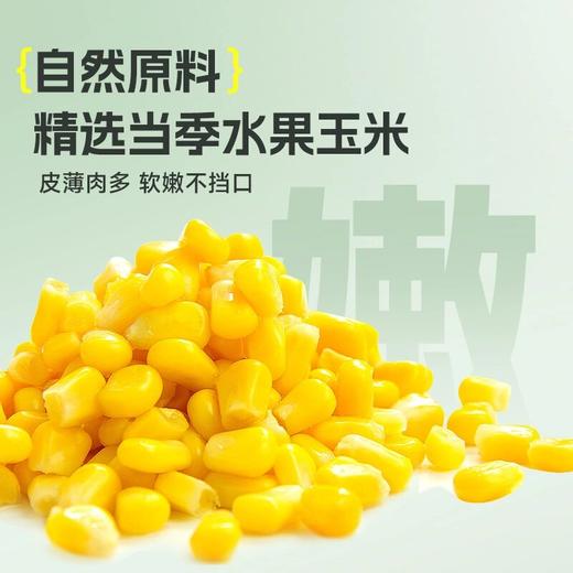 佳钓尼生鲜嫩玉米颗粒翘嘴窝料青草鲤鳊鱼米翘鱼饵饵料钓鱼装备 商品图1