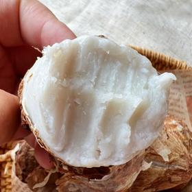 【山东奶香小芋头】| 舌尖美味，软香糯甜，饱满皮薄，老少皆宜，地道食材