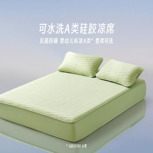 LOVO乐蜗XS  酷爽-丝享云柔A类可水洗硅胶凉席三件套（床笠）180*200*30 商品图1