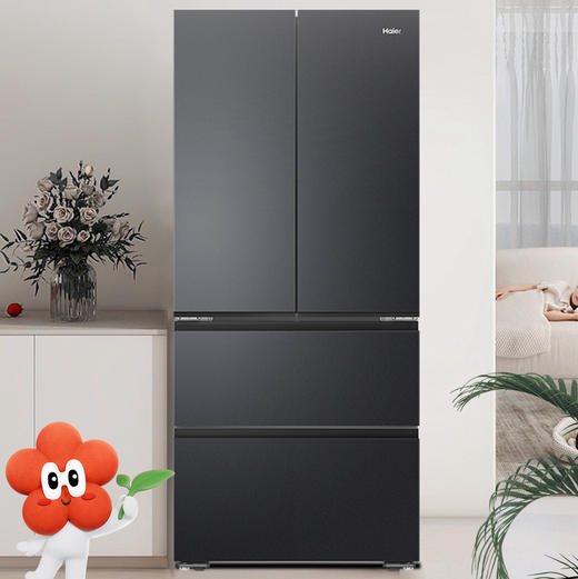 海尔（Haier）冰箱 BCD-490WGHFDEDSD 商品图1