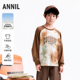 【实体店同款】男童圆领长袖针织衫秋季新款安奈儿童装AB531131