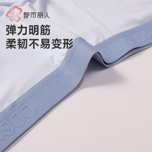 都市丽人内裤男士内裤40S莫代尔内裤明筋平角内裤男内裤FKHC35 商品图5