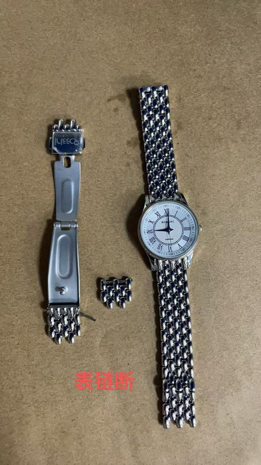 6938518326517 罗西尼ROSSINI 【高性价比时尚小巧女表文艺优雅钢带石英女士手表女士石英6356【可能无电】 商品图7