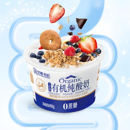 初酪有机纯酸奶 低温原味老酸奶400g*3盒 商品图4