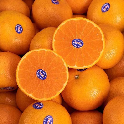 进口澳橘5个装（960g左右） 商品图0