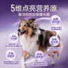 网易严选犬粮 全价冻干三拼鸡肉狗粮幼犬成犬小型中大型犬通用金毛 2kg 商品缩略图1