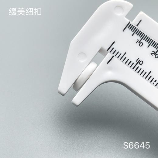 S6645(整包购买) 商品图4