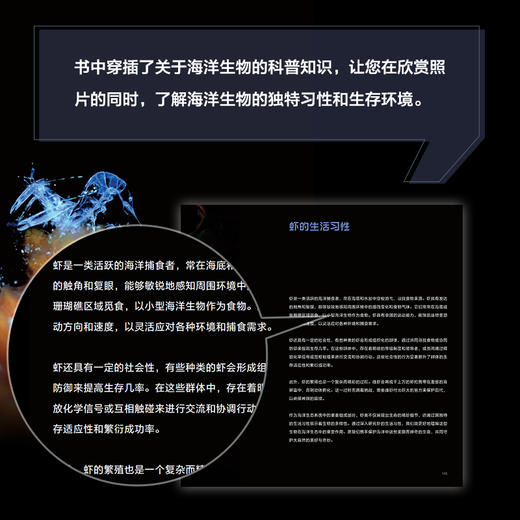 微海幻境 神秘海洋生物微观之旅 商品图3