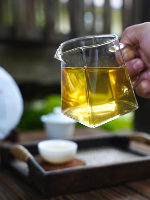 【石门坎单株】2025年春茶宣哥私房好茶分享，之前一直自用，周年庆特惠分享（媲美茶王树品质）357克/饼，拍5发6 商品图1