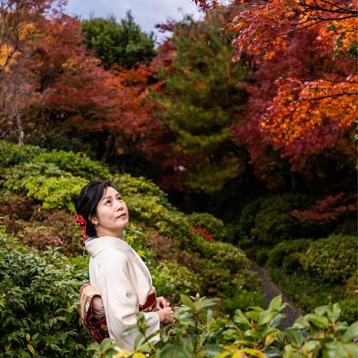 人文关西 | 秋日红叶季，寻迹日本文化的前世今生 7天6晚 商品图5