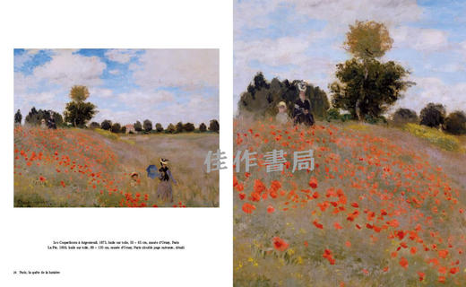 【全新现货】 Monet: L'art Plus Grand / 莫奈：超越艺术的维度【法文原版】 商品图1