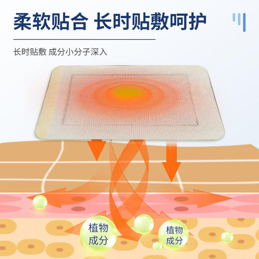 ✨富贵包艾草贴 商品图3