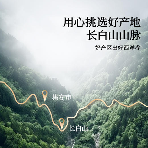 【正宗同仁堂品牌】北京同仁堂 青源堂 西洋参四宝礼盒-230g(西洋参片50克+黄芪50克+党参50克+麦冬80克) SY 商品图6