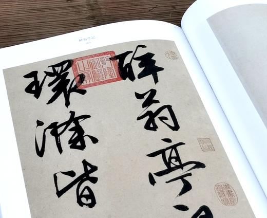 《文徵明名笔》，布脊精装，8开，文徵明著，上海辞书出版社2020年一版，定价480，售价168元。 商品图4