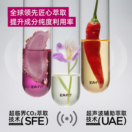 【社群内购专属】排毒燃脂组合✔️1周期排毒提代 燃脂效率提3倍 突破平台期 提升肝代谢 商品图3