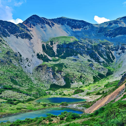 云南｜香格里拉千水牧场2天1晚，独家秘境路线，牧场花海/高山海子/原始苔藓森林/溪流湿地/自然体验/藏地文化/木屋露营，1-2日路线可选！ 商品图1