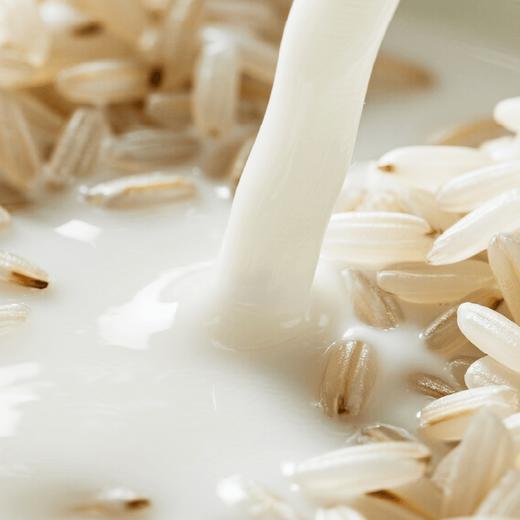 【生态糙米奶】200ml 0乳糖0添加 直接喝的糙米营养奶  入口丝滑 自然清甜 商品图2