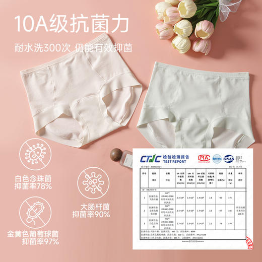 60支全棉抗菌高腰内裤 商品图2