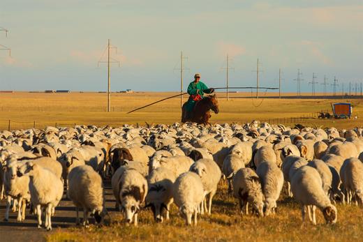 北国之秋 9 天摄影线:·大兴安岭阿尔山、呼伦贝尔、蘑阿公路、扎龙湿地、根河、满洲里边境 商品图9
