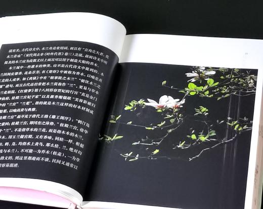 签名钤印本：《园林花笺》，精装32开，柯继承、柯怡雯著，古吴轩出版社2020年一版，2025年4印，432页，定价88，售价88元。 商品图10