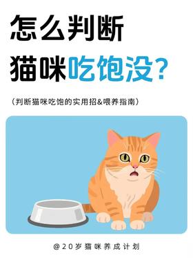 猫咪吃饱了吗？教你判断猫咪是否吃饱！