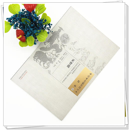 正骨范（中国古医籍整理丛书）伤科04 日本 二宫彦可撰 中国中医药出版社 商品图1