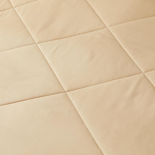 罗莱T 花舞忆梦防螨抗菌夏被 商品图4