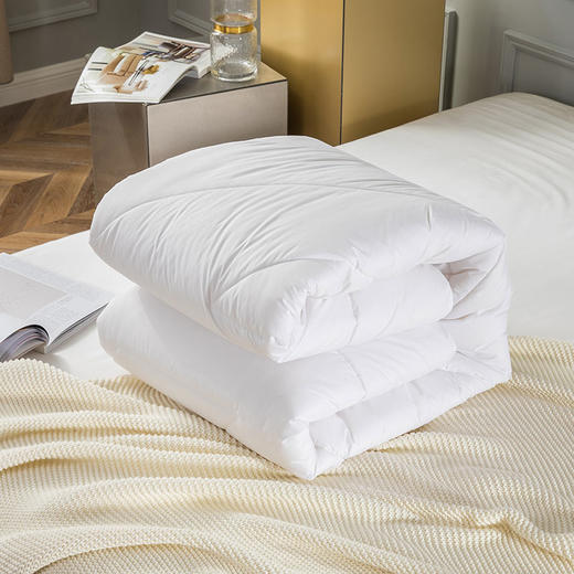 罗莱T 舒眠羊毛被(1500g)  200×230cm 商品图8