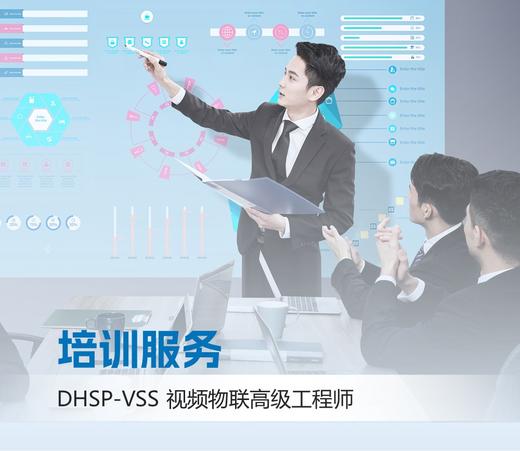 DHSP-VSS视频物联高级工程师培训服务 商品图0