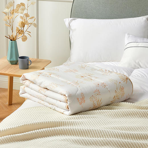 罗莱T 花舞忆梦防螨抗菌夏被 商品图11