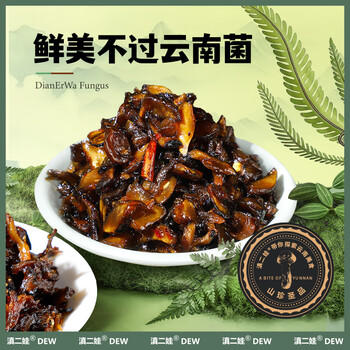 滇二娃云南即食菌菇1斤香蕈鸡枞菌牛肝菌松茸菌解馋小吃休闲零食 /休闲食品 /豆干/素食零食 /卤味蔬菜零食 商品图2