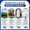 原始黄金新疆骆驼奶粉330g*6罐益生菌无蔗糖驼乳粉高钙儿童成人正品礼盒 /水饮冲调 /成人奶粉 /驼奶粉 商品缩略图1