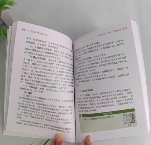 三十四项养羊关键操作技术 商品图6