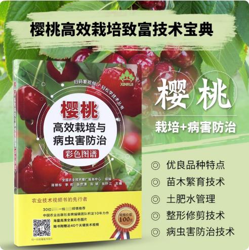 樱桃高效栽培与病虫害防治彩色图谱（扫码看视频· 轻松学技术丛书） 商品图0