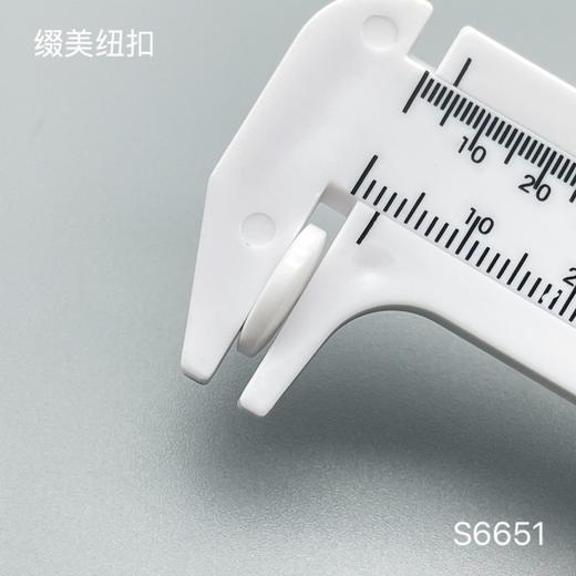 S6651(整包购买) 商品图3