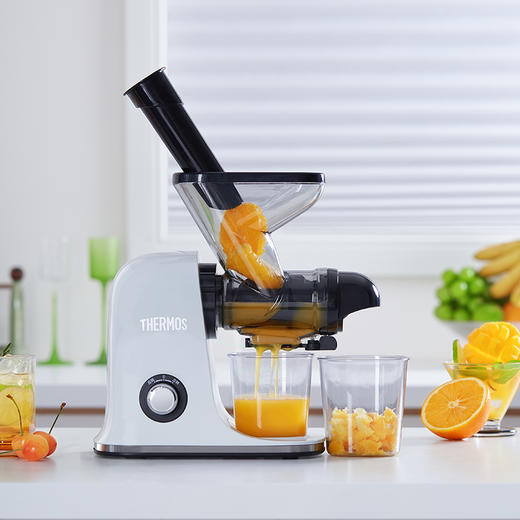 膳魔师原汁机EHA-2111A-W 商品图4