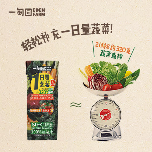 一甸园纯蔬菜汁/番茄汁 200ml*10盒 商品图10
