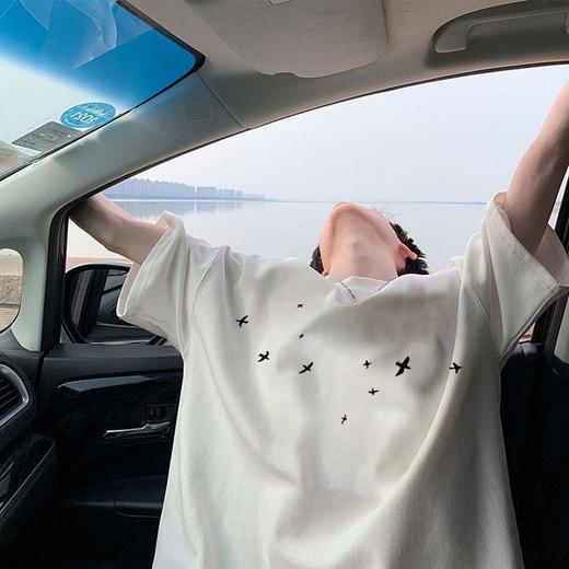 【重磅美式系列❗燕子印花半袖体恤】男款夏季简约大气，少年感纯棉t恤，潮流宽松重磅美式内搭，200克短袖oversize五分袖上衣L 商品图2