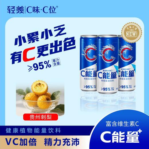 刺梨C能量+饮料  商品图0