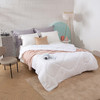 罗莱T A类澳洲羊毛抗菌阻螨冬被(中国航天事业合作伙伴)200*230 商品缩略图1