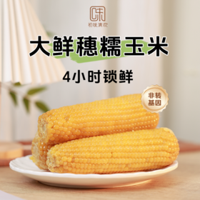 非转基因 黄糯玉米 软糯香甜颗粒饱满 来自东北沃土生态种植 4小时锁鲜真空包装 减脂期必备