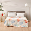 罗莱T 超柔絮彩A类云朵绒毯 180×200cm 商品缩略图0