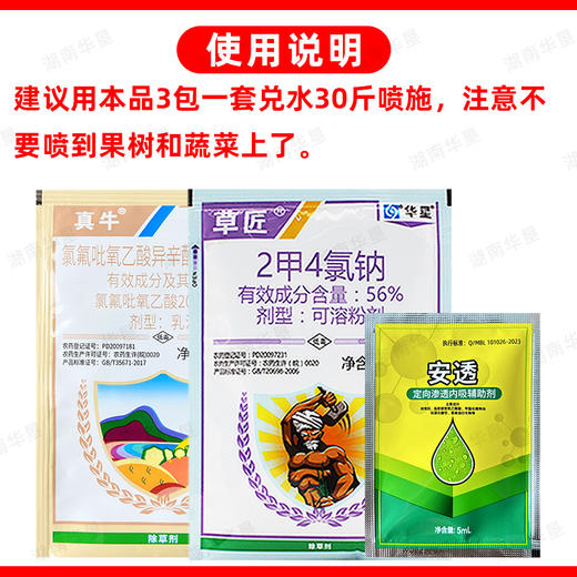 水花生净专杀氯氟吡氧乙酸异辛酯专用专杀药三合一正品除草剂 商品图5