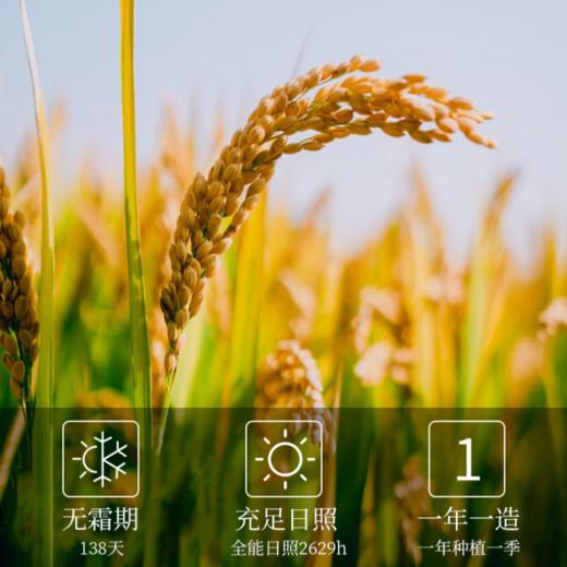 丰谷百味五常核心产区大米2.5kg家庭装 商品图2