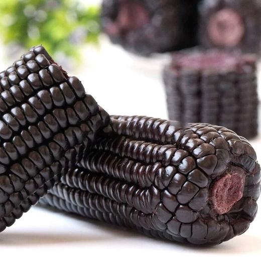 山西黑糯玉米|山人优选，绿色认证的，非转基因 | 无添加 | 低升糖 商品图1