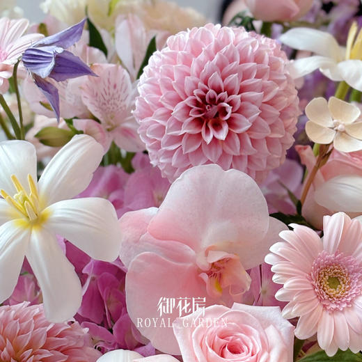 莲红杏花  • 鲜花花桶 商品图3