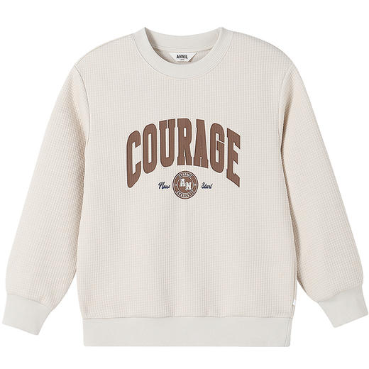 【实体店同款】男童圆领长袖卫衣秋季新款安奈儿童装AB531134 商品图5